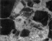 Third thumbnail for: Deformation Band Control on Hydrocarbon Migration