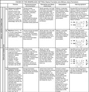 Third thumbnail for: Controls on a Shallow-Water Hemipelagic Carbonate ...