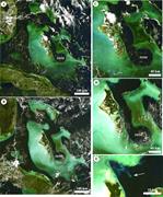 Second thumbnail for: Lack of Impact of Hurricane Michelle on Tidal Flat...