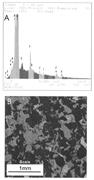 First thumbnail for: Simulations of the Effects of Diagenesis on the Ev...