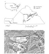 Second thumbnail for: Origin of Meter-Scale Submarine Cavities and Herri...
