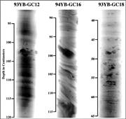 Third thumbnail for: Strain Signatures of Fjord Sediment Sliding: Micro...