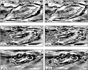 Third thumbnail for: 3-D Seismic Characterization of Submarine Landslid...