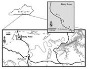 First thumbnail for: Sequence Stratigraphy and Depositional Dynamics of...