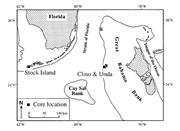 First thumbnail for: Mixing-Zone Diagenesis in the Subsurface of Florid...