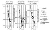 Third thumbnail for: Mixing-Zone Diagenesis in the Subsurface of Florid...