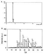 First thumbnail for: Precipitation and Growth Morphology of Calcium Car...