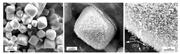 Third thumbnail for: Precipitation and Growth Morphology of Calcium Car...