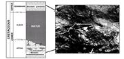 Third thumbnail for: Diagenetic Salinity Cycles and Sea Level Along a M...