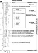 Third thumbnail for: Mechanisms for Forming Discontinuity Surfaces With...