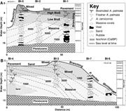 Third thumbnail for: Holocene Reef Development Along the Northeastern S...