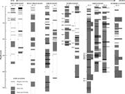 Third thumbnail for: Seismic Architecture and Lithofacies of Turbidites...