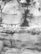 Second thumbnail for: Marine Sepiolite in Middle Permian Carbonates of S...