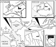First thumbnail for: Discrimination of Estuarine Marsh Subenvironments ...