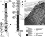 Second thumbnail for: Sedimentology, Stratigraphic Architecture, and Ich...