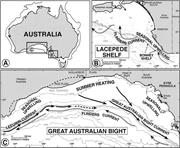 First thumbnail for: Where Has All the Aragonite Gone? Mineralogy of Ho...