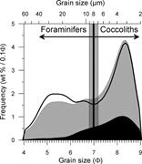 Second thumbnail for: Quantification of Foraminifer and Coccolith Carbon...