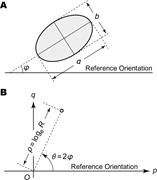 Third thumbnail for: Improvements in Graphical Representation of Fabric...