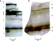 Third thumbnail for: Paleobrine Temperatures, Chemistries, and Paleoenv...