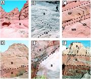 Second thumbnail for: Fingerprints of Fluid Flow: Chemical Diagenetic Hi...