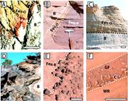 Third thumbnail for: Fingerprints of Fluid Flow: Chemical Diagenetic Hi...