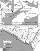 First thumbnail for: Facies Architecture and Ichnology of Recent Salt-M...