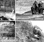 Second thumbnail for: Earliest Triassic Claystone Breccias and Soil-Eros...