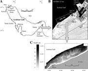 First thumbnail for: Remote Sensing of Geomorphology and Facies Pattern...