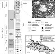 First thumbnail for: Cyanobacterial Mats from Silurian Black Radiolaria...