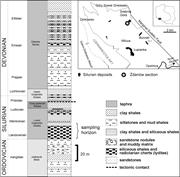 Second thumbnail for: Cyanobacterial Mats from Silurian Black Radiolaria...