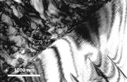 First thumbnail for: Alkali Feldspar Microtextures as Provenance Indica...