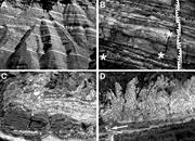First thumbnail for: Criteria for Distinguishing Primary Evaporite Feat...