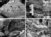 Third thumbnail for: Criteria for Distinguishing Primary Evaporite Feat...