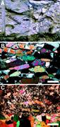 Second thumbnail for: Criteria for Distinguishing Primary Evaporite Feat...