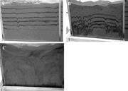 First thumbnail for: Experimental Production of Clay Rims by Macrobioti...