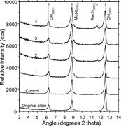 Second thumbnail for: Experimental Production of Clay Rims by Macrobioti...