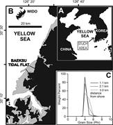 First thumbnail for: The Significance of Hummocky Cross-Stratification ...