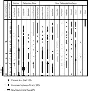 Third thumbnail for: Sedimentologic Role of Microproblematica Donezella...