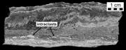 Third thumbnail for: High-Resolution Stratigraphy of an Underfilled Lak...