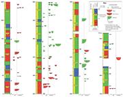 Third thumbnail for: Natural Geomorphic Variability Recorded in a High-...