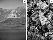 Third thumbnail for: Characterization of Dolomitizing Fluids in the Car...