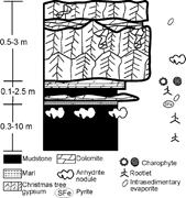 Second thumbnail for: Mediation of Endoevaporitic Microbial Communities ...