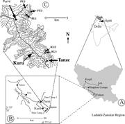 First thumbnail for: Cambrian Depositional History of the Zanskar Valle...