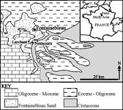 First thumbnail for: Quartz Cement in the Fontainebleau Sandstone, Pari...