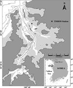 First thumbnail for: Dune Migration on Macrotidal Flats Under Symmetric...