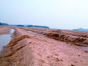 Second thumbnail for: Dune Migration on Macrotidal Flats Under Symmetric...