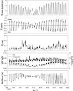 Third thumbnail for: Dune Migration on Macrotidal Flats Under Symmetric...