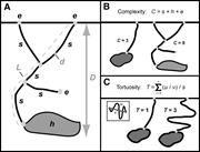 Third thumbnail for: The Identification and Interpretation of Reptile I...