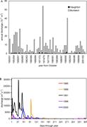 Second thumbnail for: Coarse-Grained Floodplain Deposits in the Seasonal...