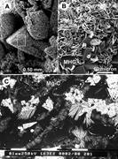 Third thumbnail for: Monohydrocalcite in the Arctic Ikka Fjord, SW Gree...